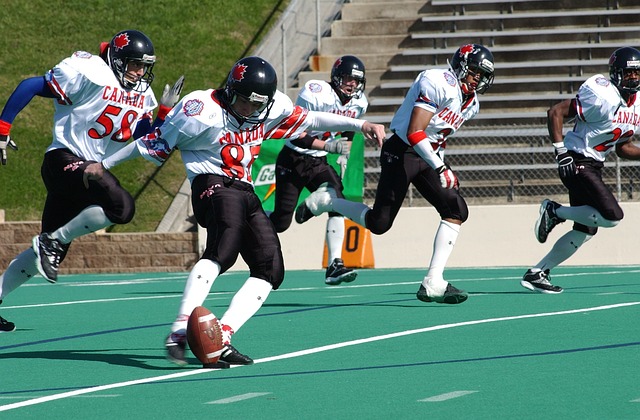 急需积分保 急需积分保