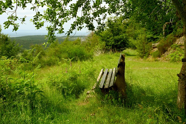 手锋线状态 手锋线状态